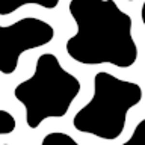 Meet your Posher, Lilyan